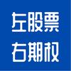 左股票右期权
