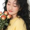 小婵的浪浪人生