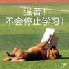 一只考研小貔秋