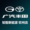 广汽丰田铂智新能源钦州店