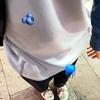 曹曹不离岛