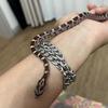 mostlovely小🐍