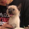三角不怕黑