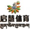 西藏山南市启慧体育