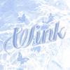Wink 0.5