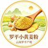 云南罗平小黄姜粉