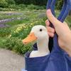 合糖悦色