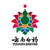 云南白药医药旗舰店1号