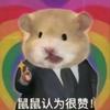 鼠鼠认为很赞