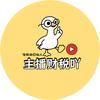 主播财税吖