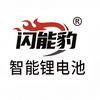 闪能豹锂电品牌店