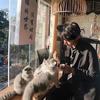 不想吃鱼