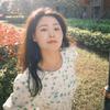 许多菜菜