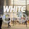 怀特单车-White Bike
