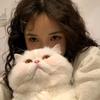 你是不是油猫饼