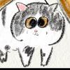 猪皮momi