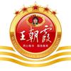 王朝霞试卷网