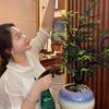 大美爱养生