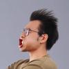 海豹厂长hibstorm