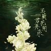 玉兰花开君再来