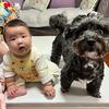 金龙送福迎佳泽