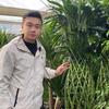 绿植弟爱养花