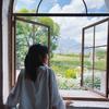 花生了什么树