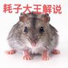 耗子大王解说