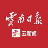 云新闻(云南日报)