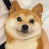 网恋被骗退休金69万靠着拼好饭苟活至今