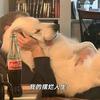 长弓