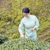 娟姐爱喝茶