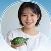 养龟小栈🐢