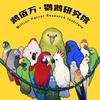 鹉佰万•鹦鹉研究院