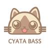 🔥喵贝斯Cyata🔥