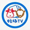 牧场TV