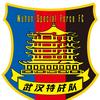 武汉特战老叶