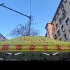 太子河早市玉米饼西施🥳