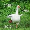 头晕晕