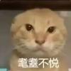 一点不慌张先生是也！！！