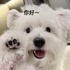 Seven没有eleven