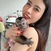 越南萌猴.小可爱