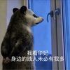 屁股带火别惹我（关关难过版）