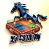 广州野马体育 | 网球场篮球场建造厂家