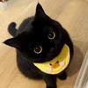 蓝猫涵( •́ω•̀ )