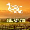 泰山小马哥校园卡