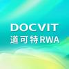 道可特RWA研究