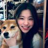 一只小梨涡