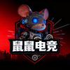 鼠鼠电竞
