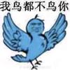 我鸟都不鸟你🤣